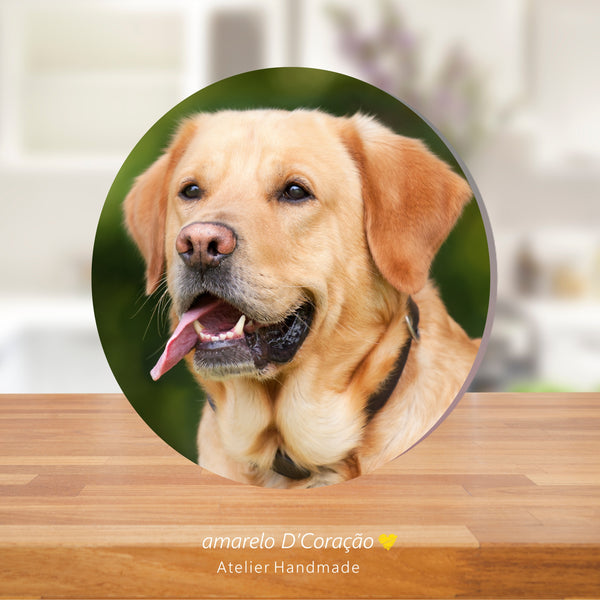 Tela Sintética Redonda