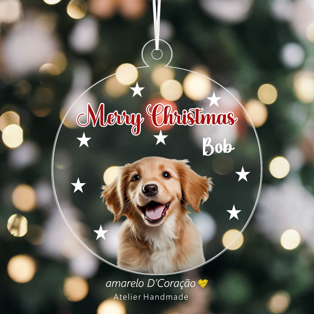 Pêndulos Acrílico Fotografia Animais