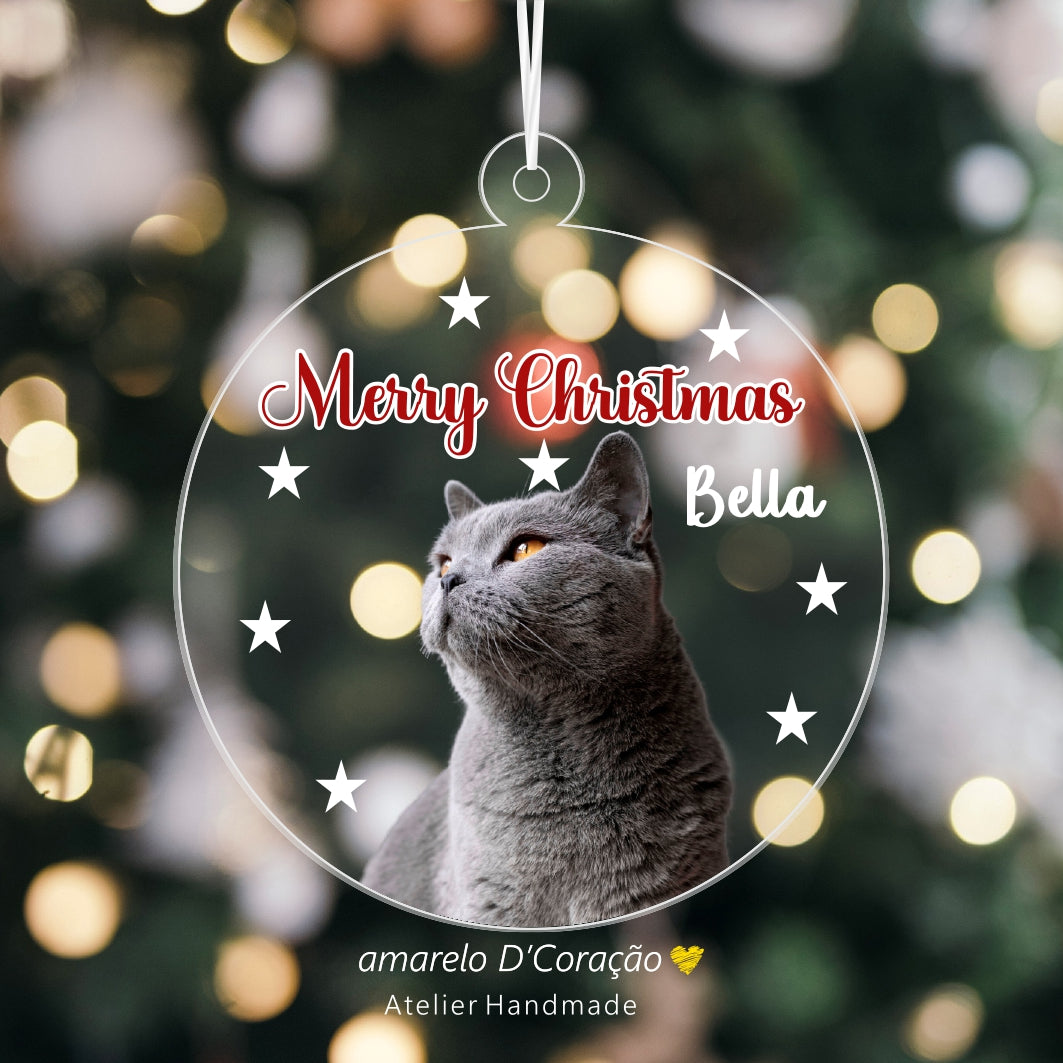 Pêndulos Acrílico Fotografia Animais