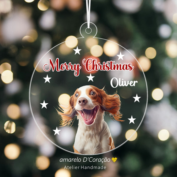 Pêndulos Acrílico Fotografia Animais